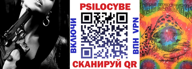 Галлюциногенные грибы Psilocybe  купить наркотики сайты  Чишмы 